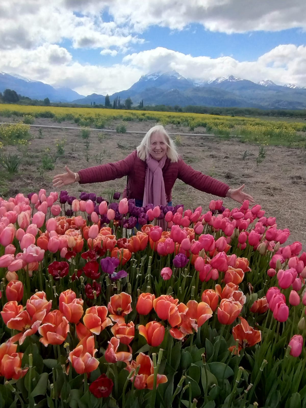 CAMPO DE TULIPANES- LAGO PUELO Y TREVELIN - imagen 1