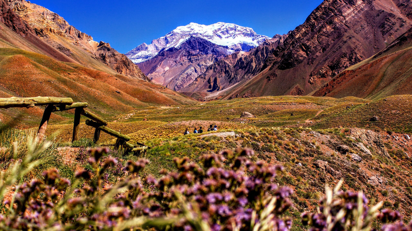MENDOZA